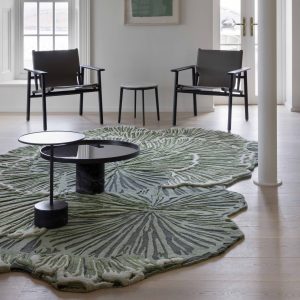 RUGS